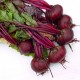 Red wonder Beetroot